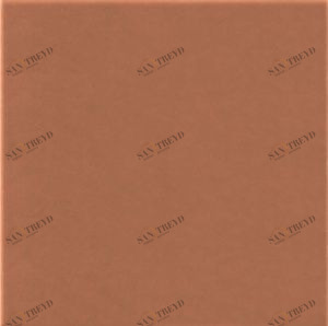 Simple red 30х30 R Opoczno 882