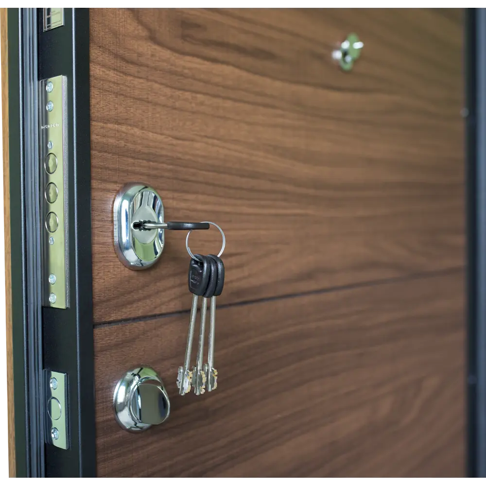 Дверь входная металлическая Модерн, 960 мм, левая, цвет орех BELWOODDOORS STLM-2166621 - Вид №2