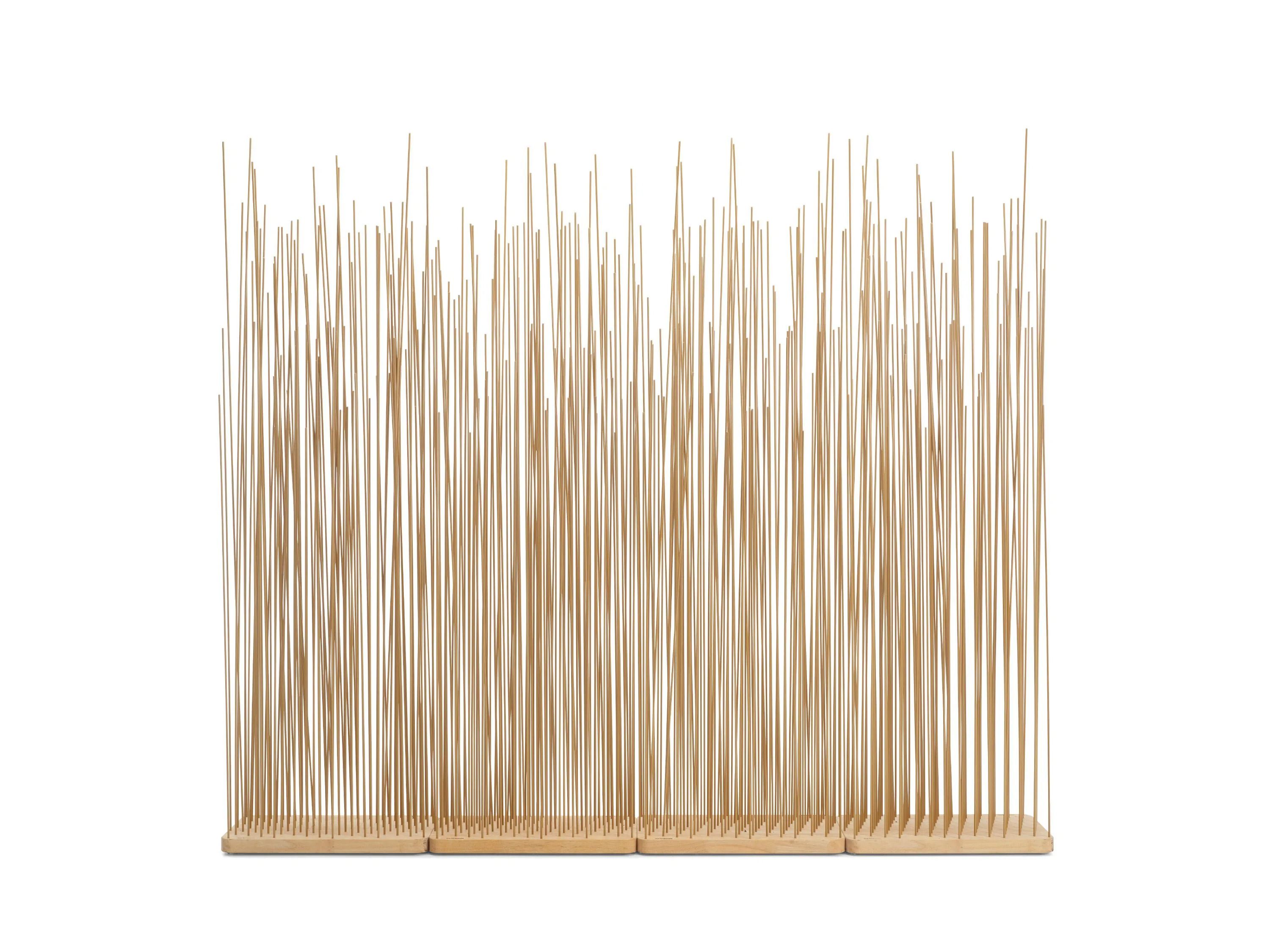 Перегородка Extremis палочки ARCH-00056303