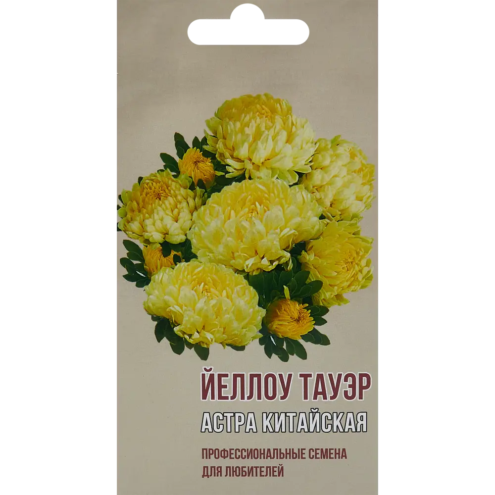 Астра китайская Йеллоу тауэр 83601689 STLM-2112810 AGRONI 