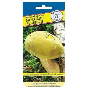 Семена Моховик зелёный
