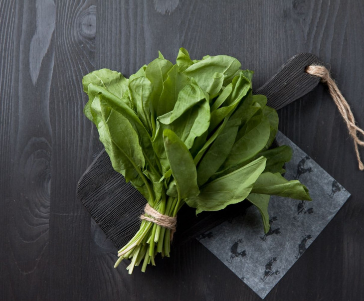 8471 Щавель 50г Вкусляндия 