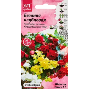 АГРОСИДСТРЕЙД Бегония клубневая Шансон F1 - смесь ярких окрасок для сада и балкона 86262929