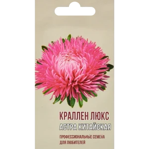 Астра китайская Краллен люкс 83601685 STLM-2096768