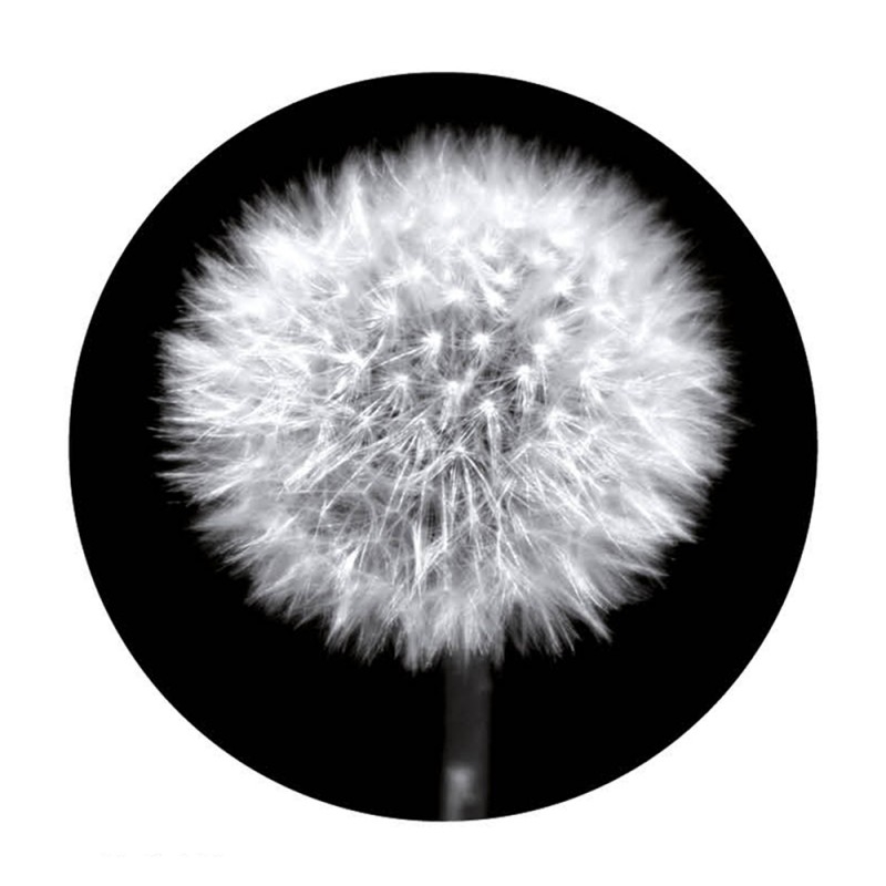 F156X160 Картина Джотто Adriani e Rossi  - Вид №13