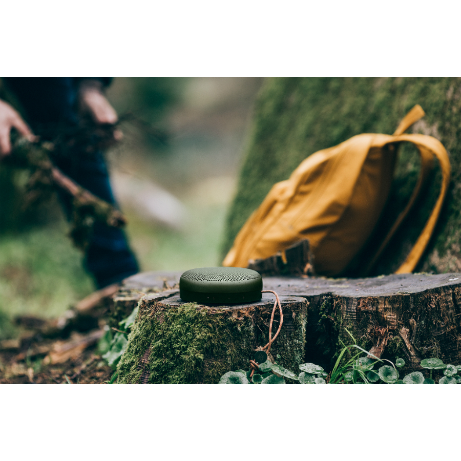 Акустика портативная BeoPlay A1, зеленая Bang & Olufsen 1297862 - Вид №1