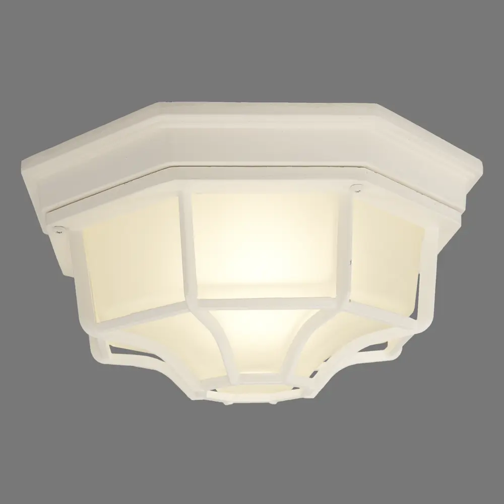 Светильник уличный потолочный Pegas 100 Вт IP65 цвет белый 82304621 STLM-2119426 Santreyd 