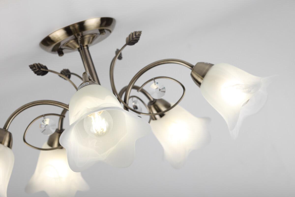 Потолочная люстра Rivoli Giardino 2031-305 RIVOLI GIARDINO 336912 Белый;бронза - Вид №3