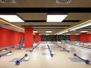 CELENIT Термоакустическая панель из минерализованной древесной ваты Celenit acoustic