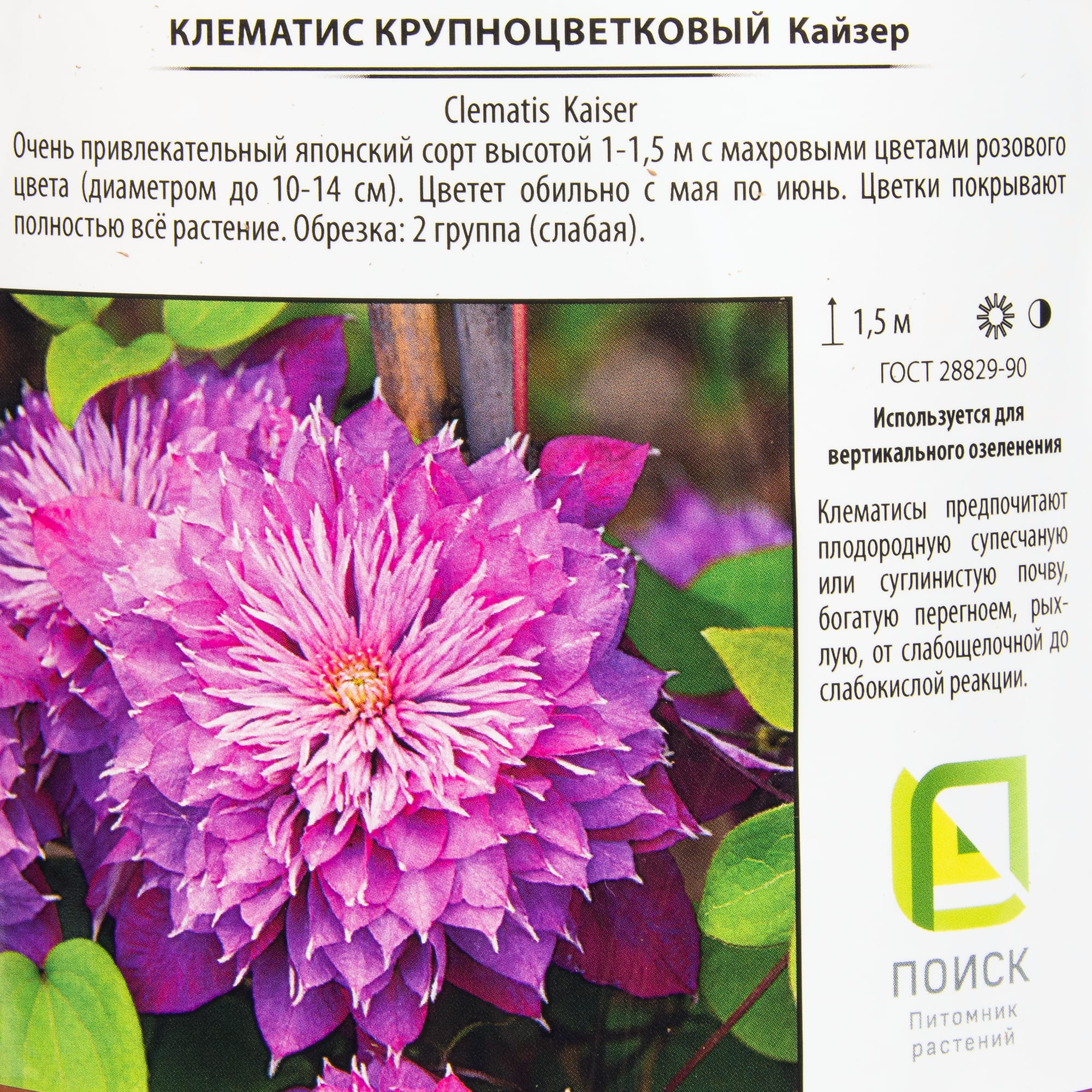 82219458 Клематис крупноцветковый «Кайзер» 2 л h20 см Santreyd  - Вид №1