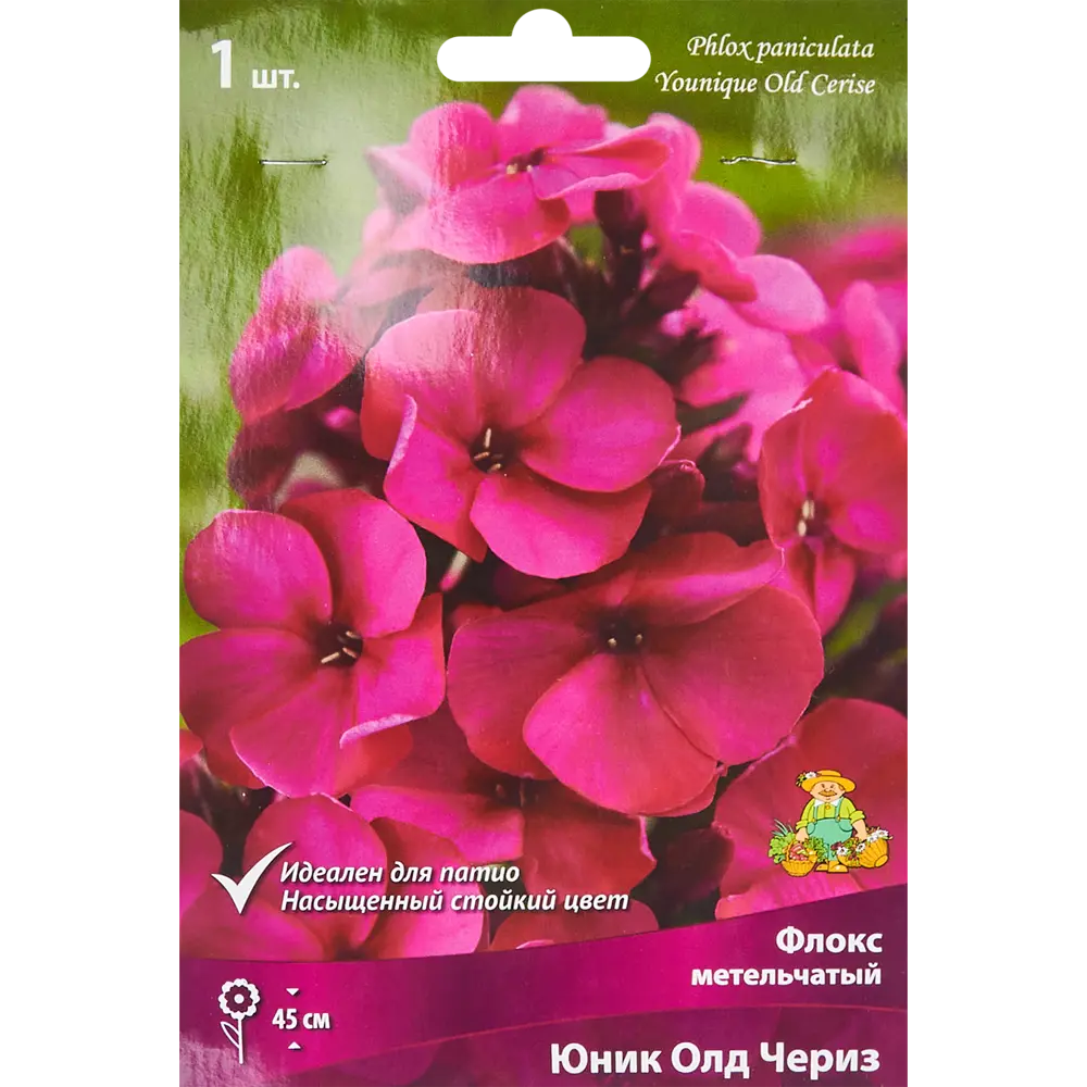 Флокс метельчатый Юник Олд Чериз от ПОИСК - пурпурно-розовое цветение 86410491 STLM-1583948
