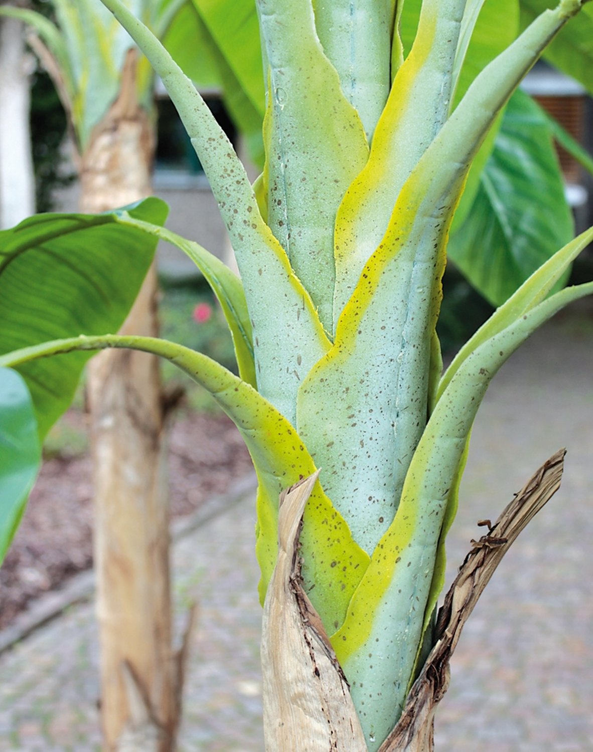 5783 883 a3 Банановое дерево, шелк, в горшке, 300 см, зеленое H-andreas  - Вид №1