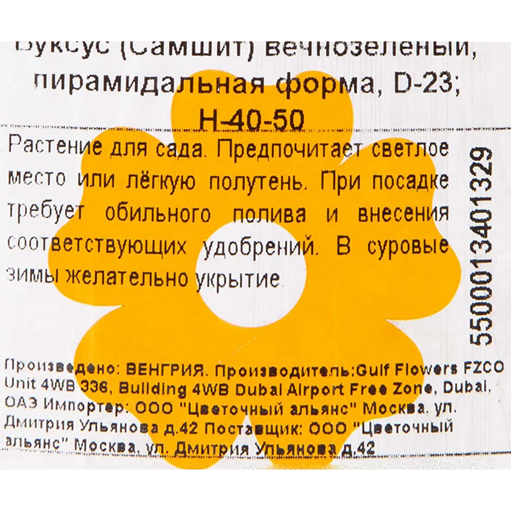 Буксус форма пирамида 23x40 см 82601599 STLM-2113015 Santreyd  - Вид №1