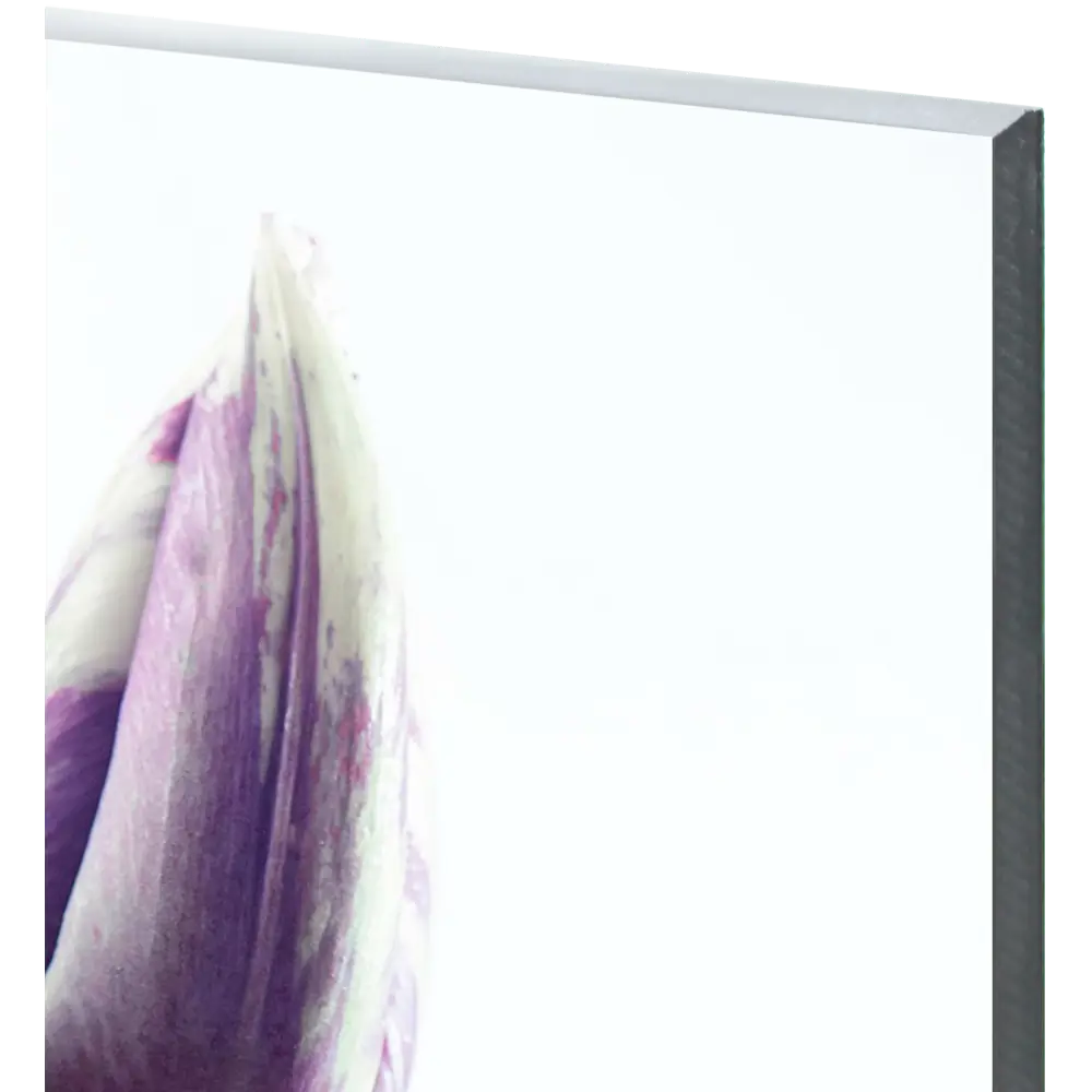 Картина на стекле "Цветочная фантазия" 60x80 см 82924201 STLM-2166728 ARTABOSKO  - Вид №1