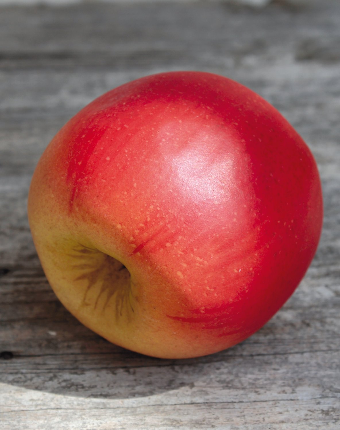 7207 403 a3 Декоративное яблоко, 8 см, красно-желтое H-andreas 