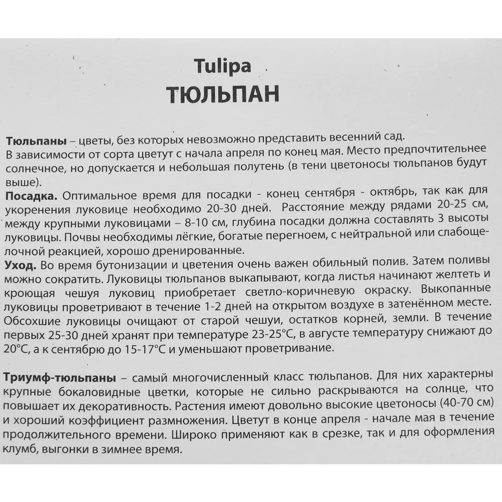 Тюльпан Триумф Дешима, 10 шт 85205539 STLM-2201822 ПОИСК  - Вид №2