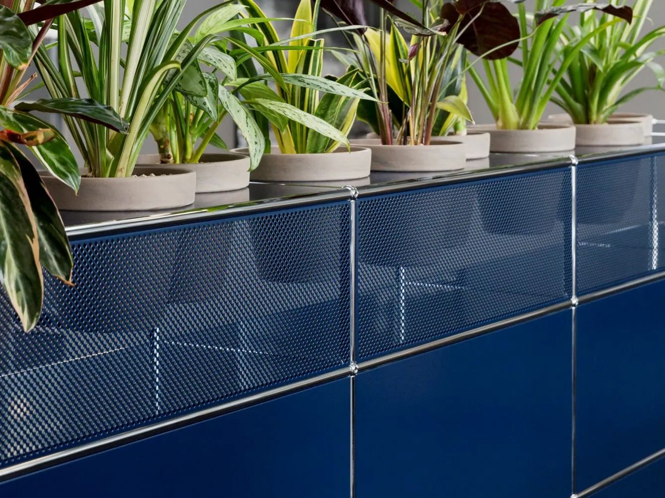 Модульная стойка регистрации USM мир растений для USM Haller ARCH-00140678 - Вид №1