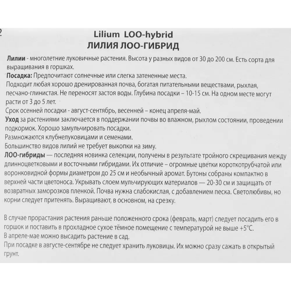 Лилия лоо-гибрид Полар 85205731 STLM-2107364 ПОИСК  - Вид №2