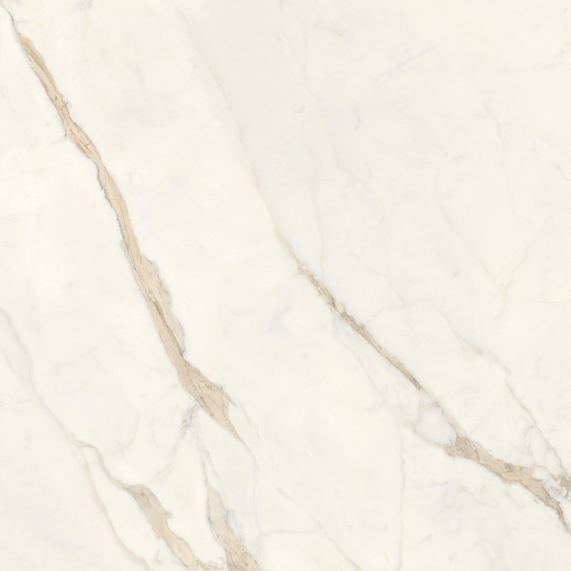 Пол / керамогранит с мраморным эффектом Italgraniti Marble Touch ARCH-00062183 - Вид №17