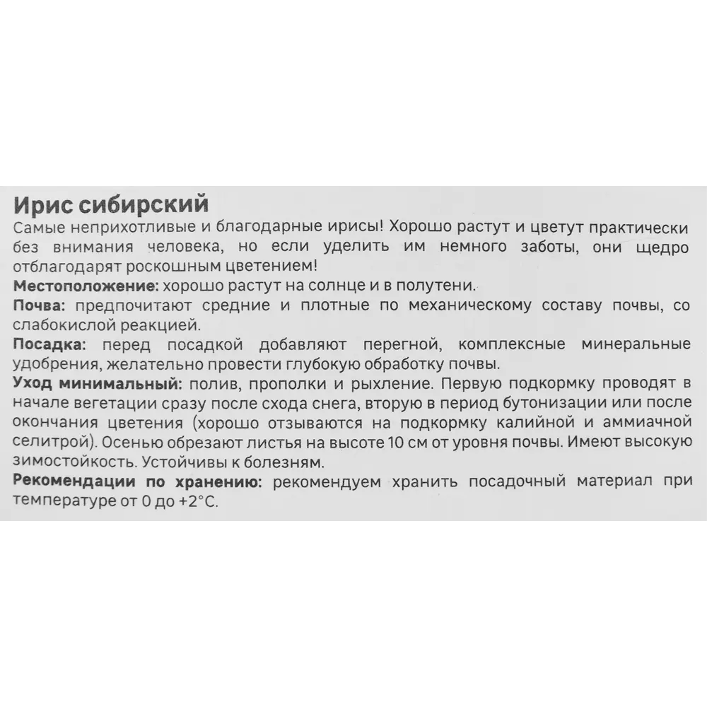Ирис Geolia сибирский Хау Одейшс 86408579 STLM-2167230  - Вид №3