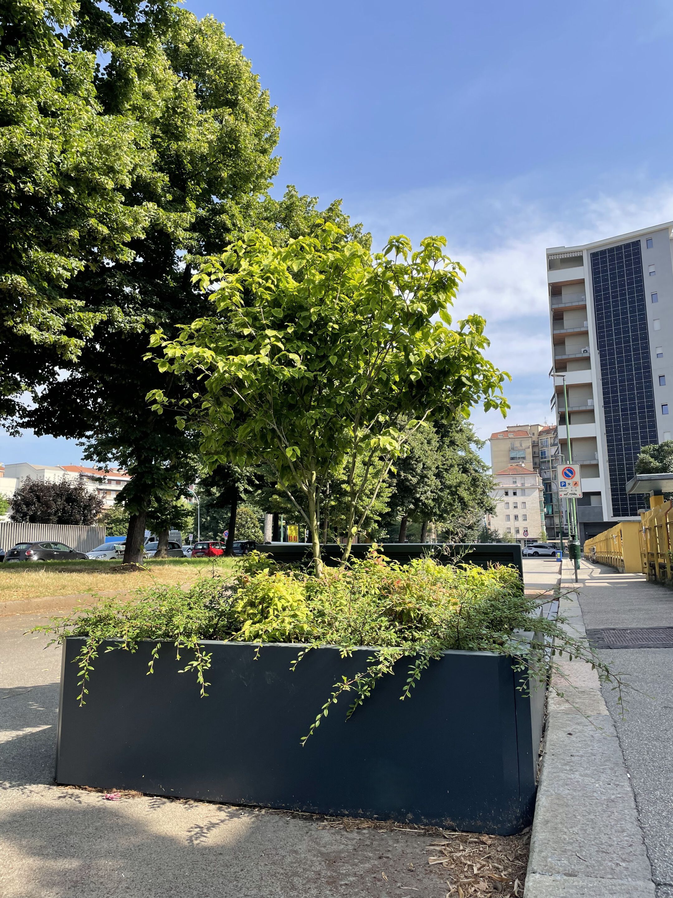 Стальная скамейка со встроенным плантатором Studio Città Lets-Park ARCH-00037121 - Вид №4