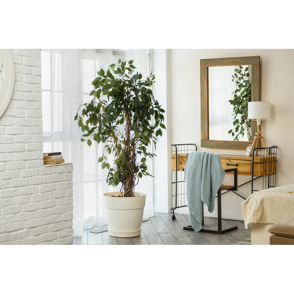 Горшок цветочный INGREEN Villa De Fiori 48 л белый с колесами 89373305 STLM-0964245 - Вид №3