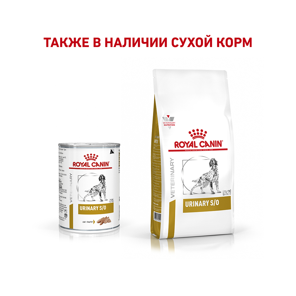Т0023180 Корм для собак Vet Diet Urinary S/O при мочекаменной болезни конс. 410г ROYAL CANIN  - Вид №3