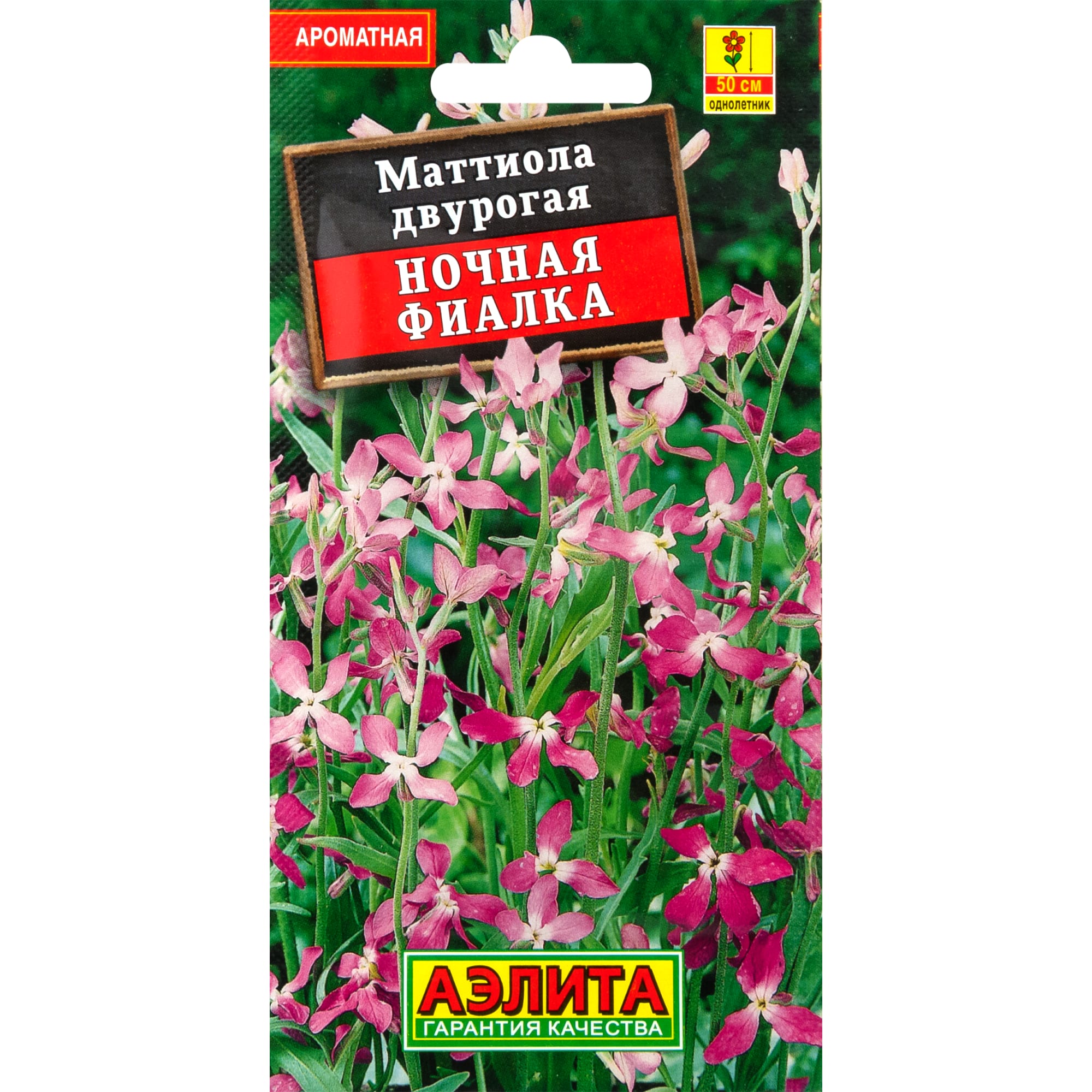 83495449 Семена Маттиола «Ночная фиалка» Santreyd 