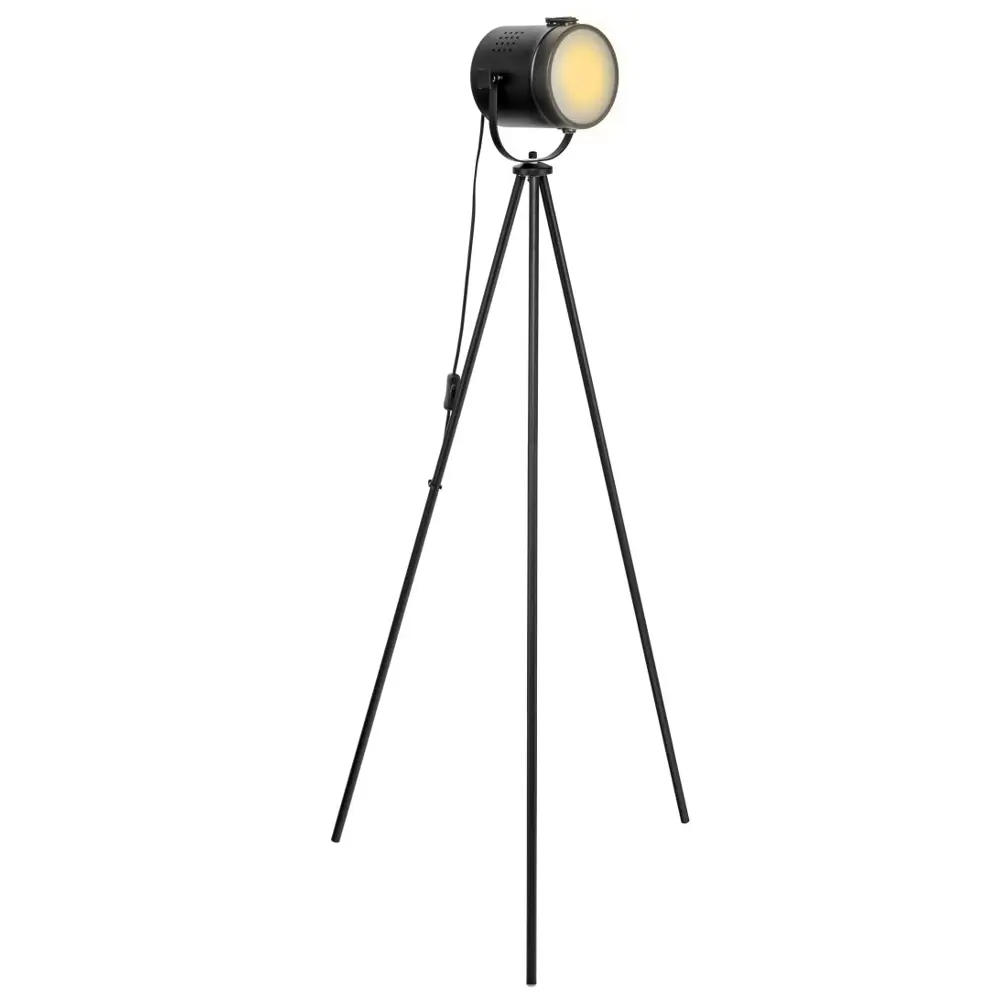 Торшер Gent, цвет чёрный LAMPLANDIA STLM-2202411 - Вид №1