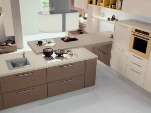 Cucine Lube Кухня из лакированной древесины Adele project