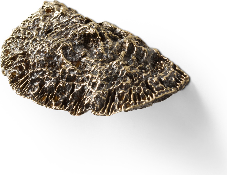 EA1034 Fungi PULLCAST Earth Collection 