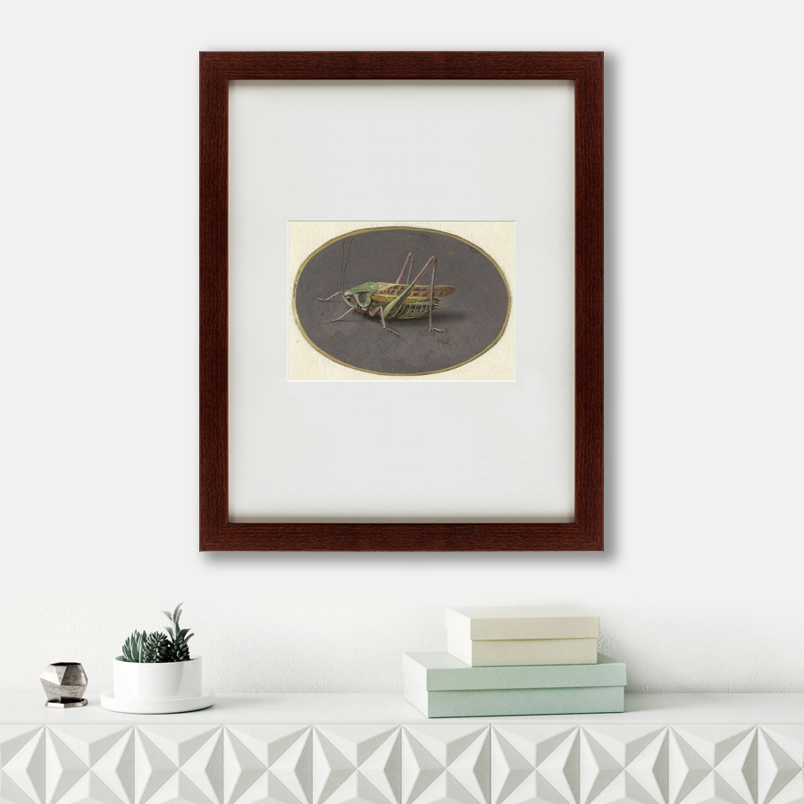 Картина: Sprinkhaan, 1690 КАРТИНЫ В КВАРТИРУ  135746 Разноцветный  - Вид №1