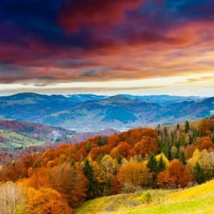 WP02421 Фотообои Verol Фотообои decoline 1х1 м