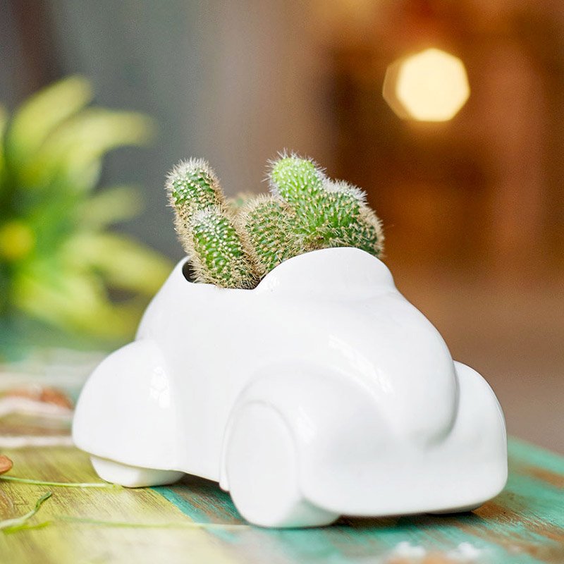 Набор для выращивания eco "Машина" ЭКОЧЕЛОВЕКИ  254575 Белый  - Вид №1