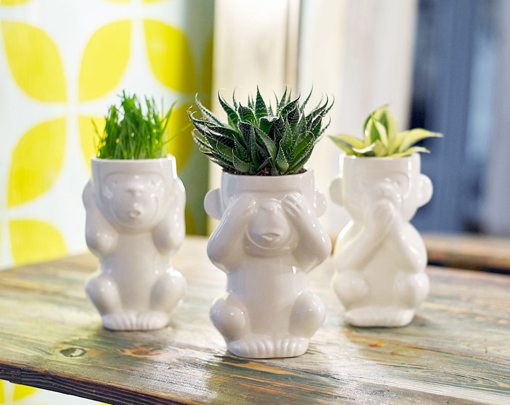 Горшок для растений Eco Игнорик ЭКОЧЕЛОВЕКИ 2003 - Вид №3