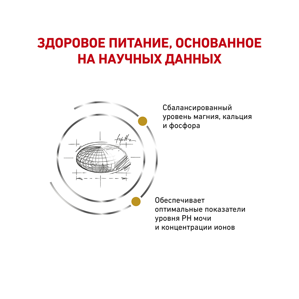 Т0023160 Корм для кошек Vet Diet Urinary S/O LP34 при мочекаменной болезни, птица сух. 1,5кг ROYAL CANIN  - Вид №3