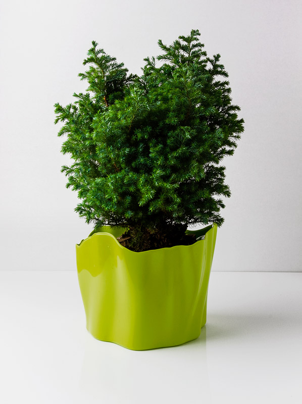 Органайзер зеленый средний Flow QUALY  00-3872073 Зеленый  - Вид №1