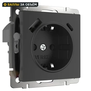 Розетка встраиваемая Werkel с заземлением разъем USB со шторками цвет черный