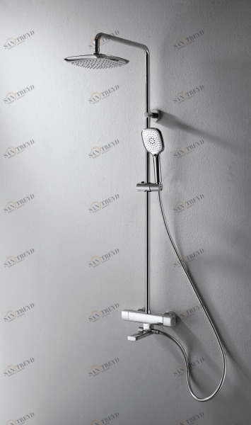 Душевой гарнитур с изливом с термостатом RAEL F699153C-A bravat