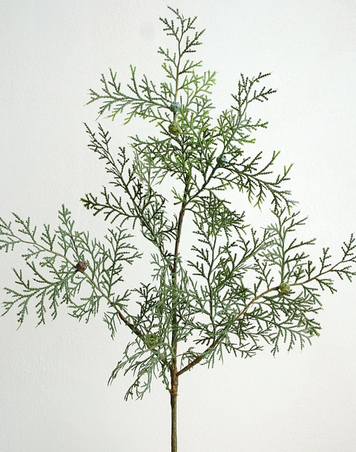 1774 883 a3 Стебель искусственного кедра, 60см, зеленый H-andreas 