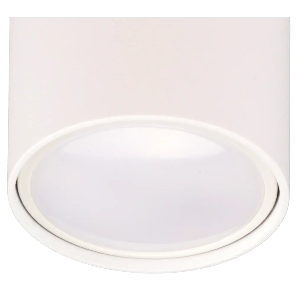 RITTER Arton 59950 — компактный накладной светильник для локального освещения 83978830 STLM-0045683 - Вид №2