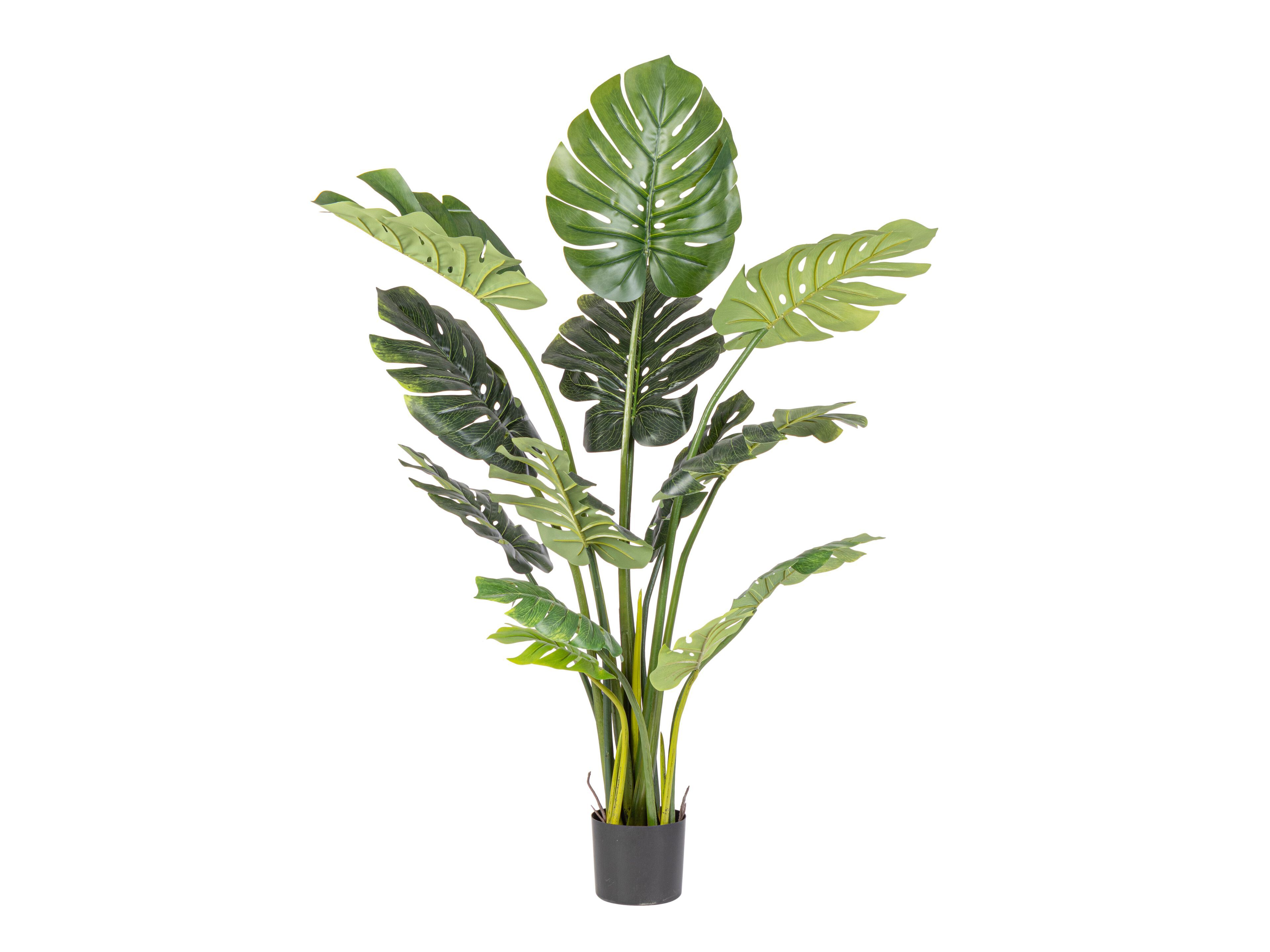 Искусственное растение BIZZOTTO FILODENDRO H150 ARCH-00018527