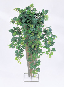 2000983170293 Циссус ампельный высота 90 см SERAX