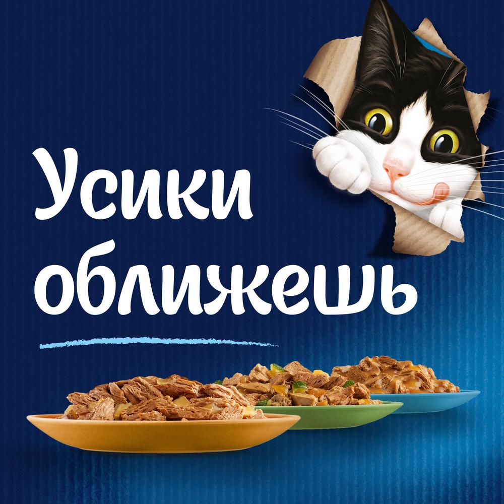 ПР0054771 Корм для кошек Sensations Супервкус говядина и сыр, в желе, пауч 75 г FELIX  - Вид №2