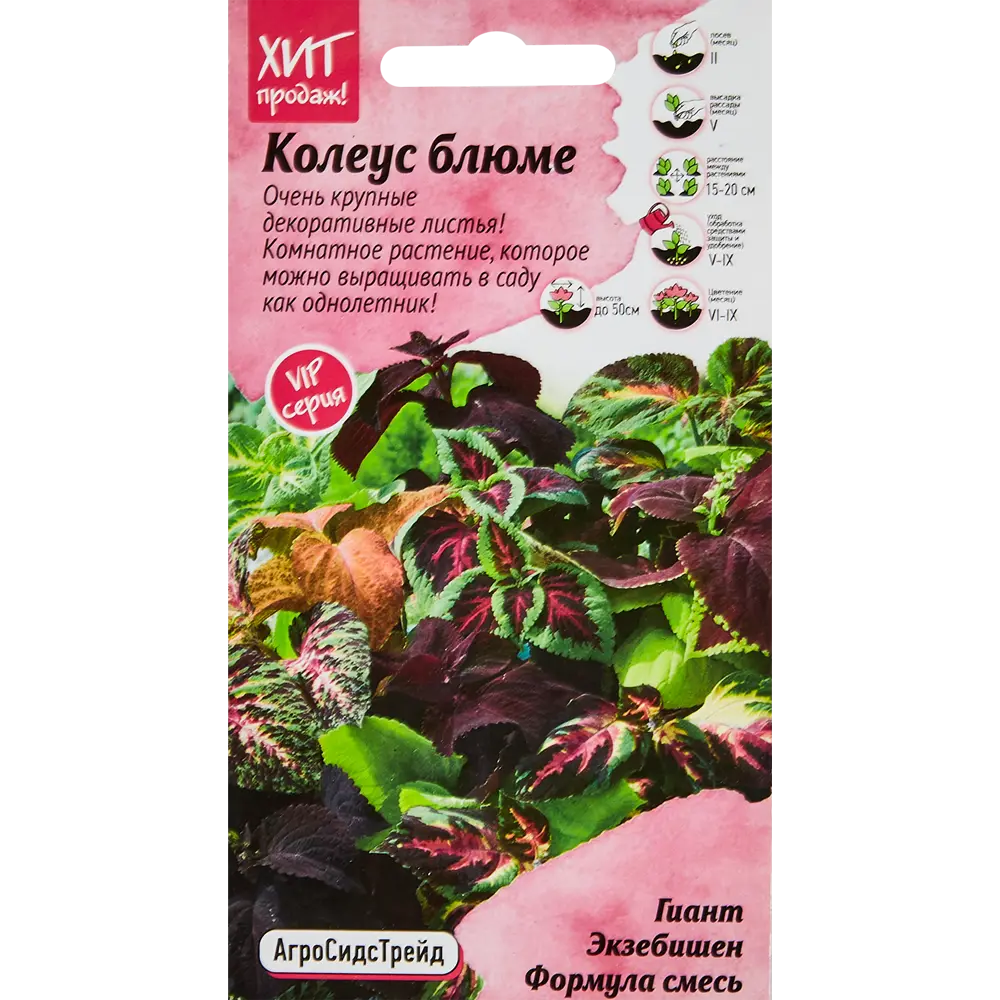Семена цветов Агросидстрейд колеус Блюме Гиант Экзебишен STLM-2198229