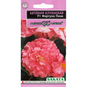Бегония «Фортуна Пинк» F1, 4 шт.