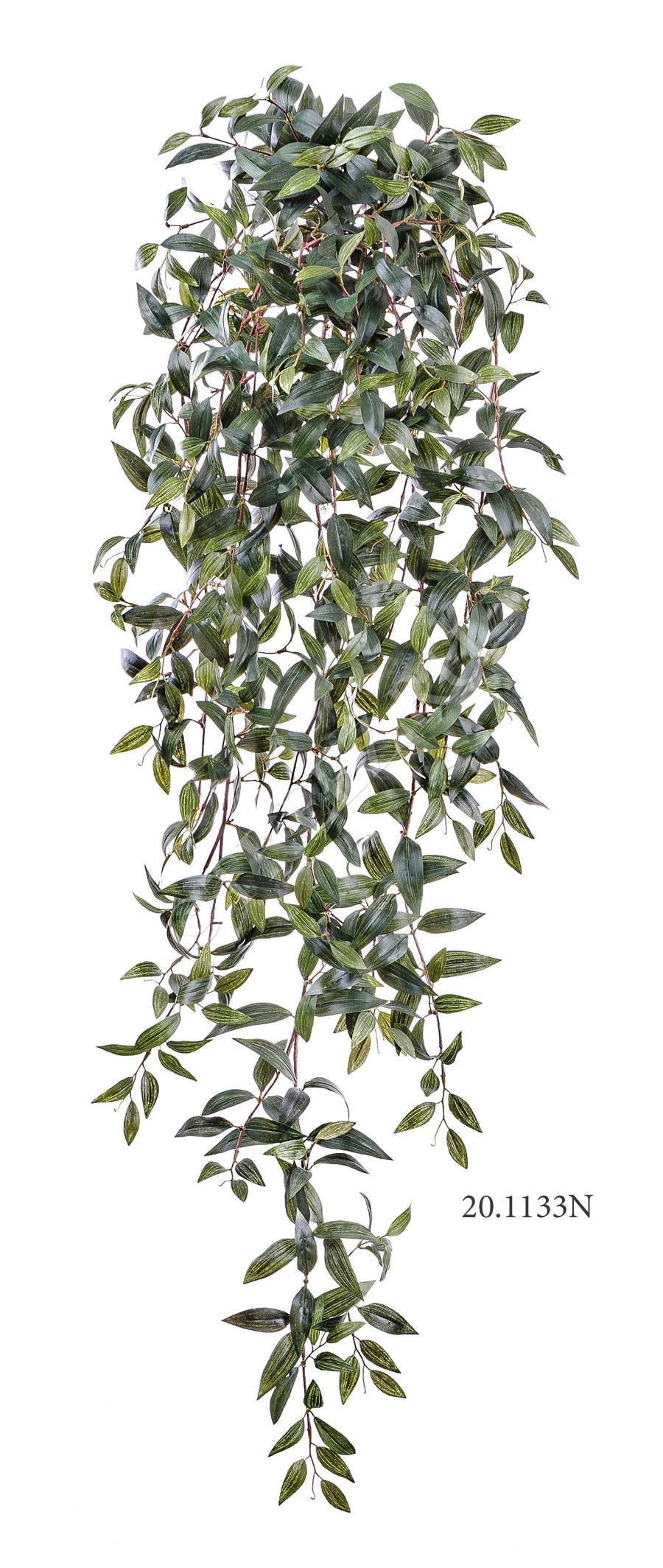 20.1128N Традесканция зелёная ампельная Цветочная коллекция  - Вид №1