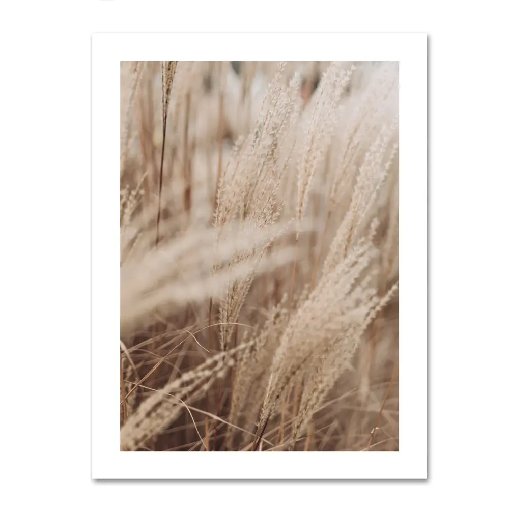 Santreyd: Постер «Сухой тростник» для стильного интерьера, 30x40 см, 2 шт. 87794362 STLM-0826008 - Вид №2