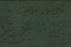 205 111 612 Пробковая настенная плитка Forest GRANORTE Carioca