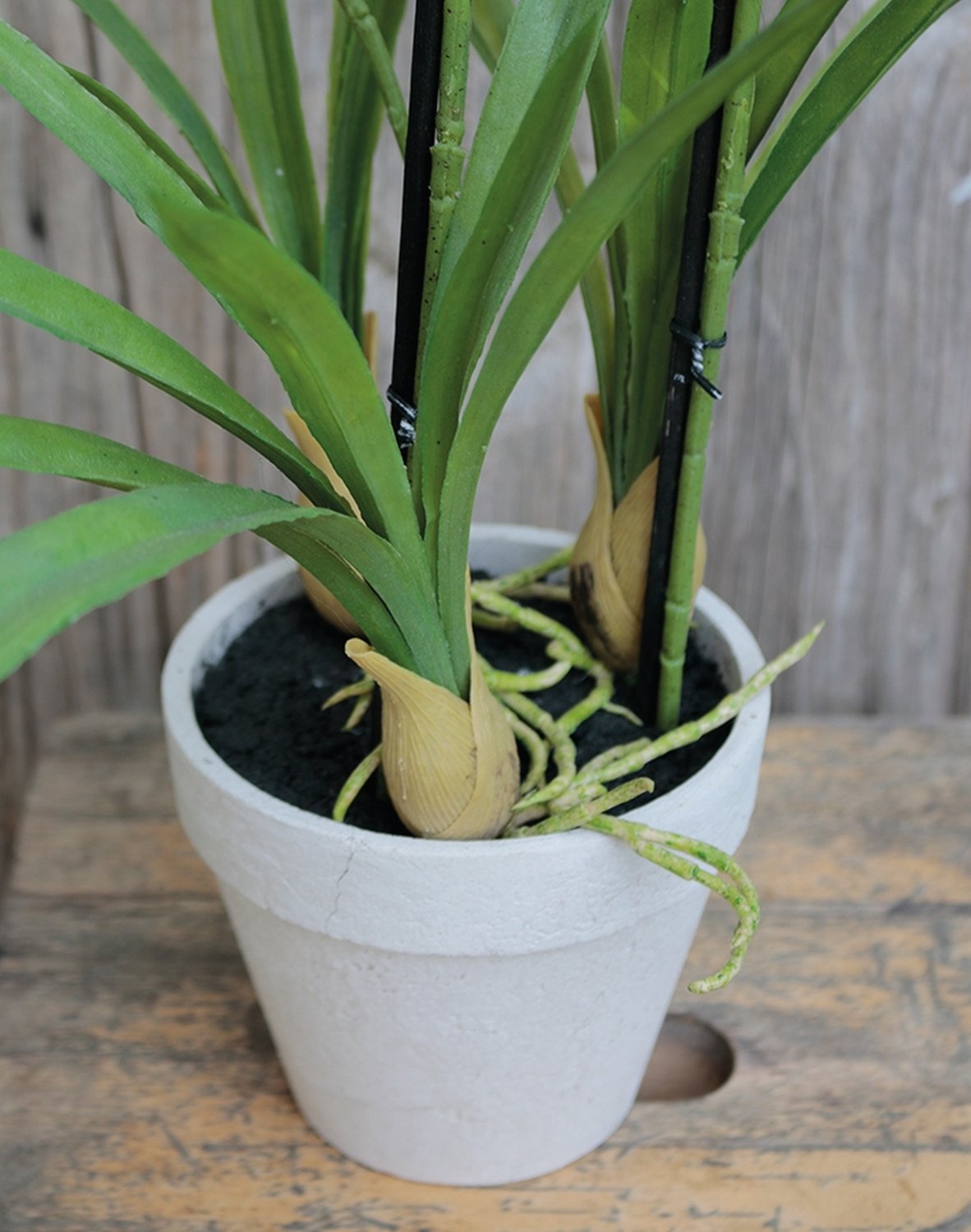 2529 788 a3 Искусственная орхидея паук (brassia), горшечная, 50 см, бежево-зеленая H-andreas  - Вид №1